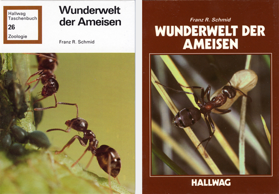 Die Ameisen by Bernard Werber